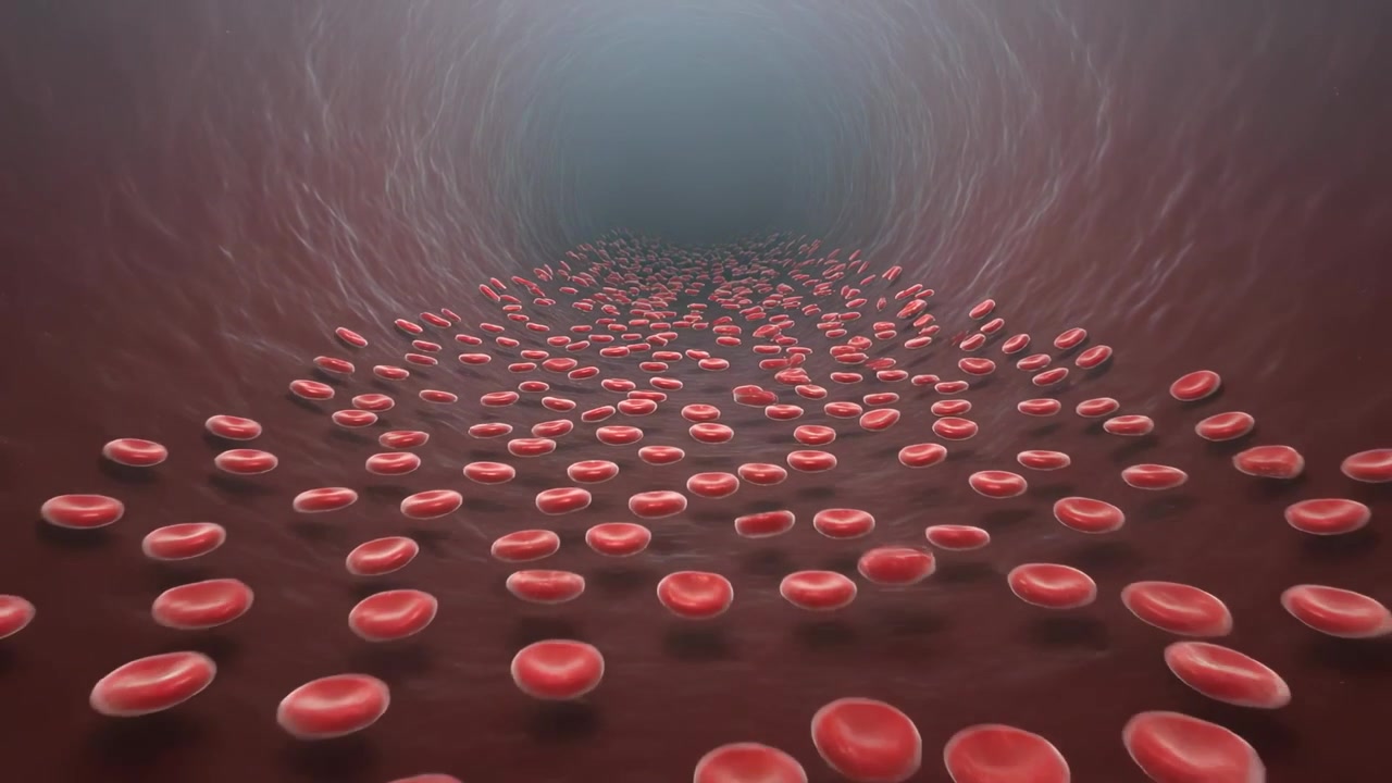 Advancing view showing red blood cells flowing, tumbling toward lit lumen in vessel, fibrous wall