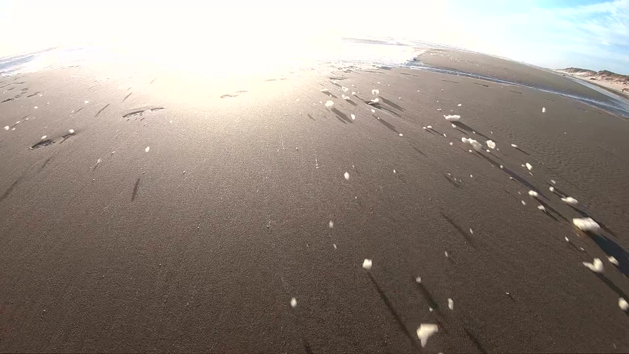 해변에서 폭풍의 해조류 거품, 느린 동작, 모래 해변, 북해, jütland, søndervig, 덴마크, 4k