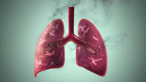los efectos del tabaquismo en los pulmones