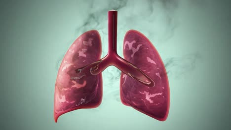 the effects of smoking on the lungs