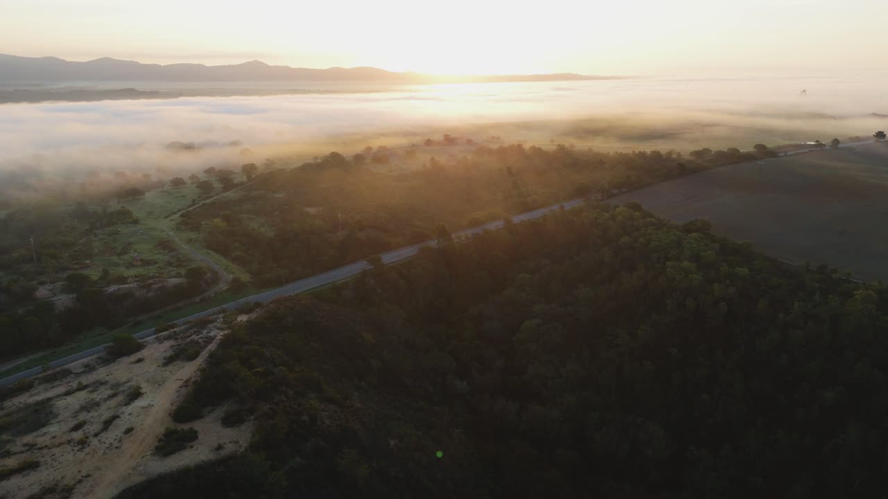 una vista del amanecer sobre el bosque brumoso en portugal