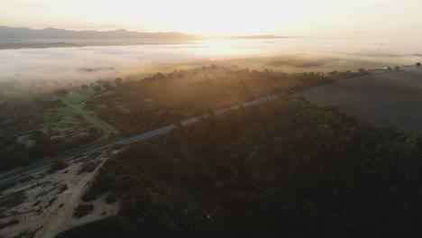 Una-Vista-Del-Amanecer-Sobre-El-Bosque-Brumoso-Y-En-Portugal