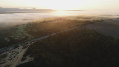 una vista del amanecer sobre el bosque brumoso en portugal