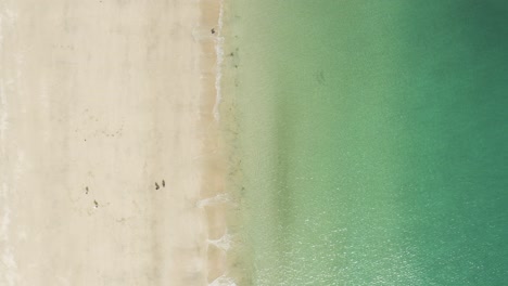 Vertical-Shot-Of-Tourist-Strolling-On-Sandy-Seashore-Of-St-Ives,-Cornwall,-England