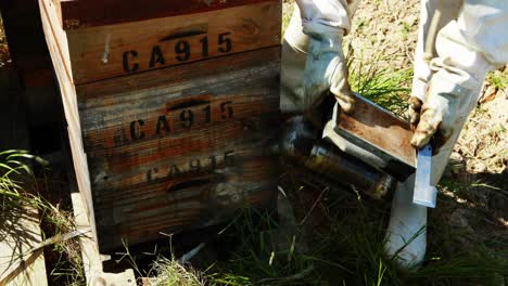 beekeepers smoking the bees away from hive