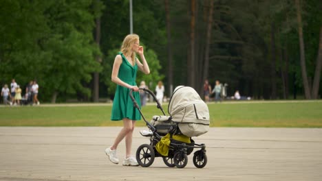 young mother walks in the park with baby stroller