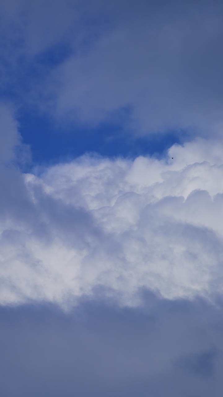 Amazing huge cumulus cloudscape in the blue sky. Black birds flying through in the horizon. Vertical video