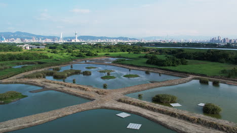 Modified-natural-wetlands-with-birds-and-tall-reed-islands-in-Guandu-nature-park,-Beitou