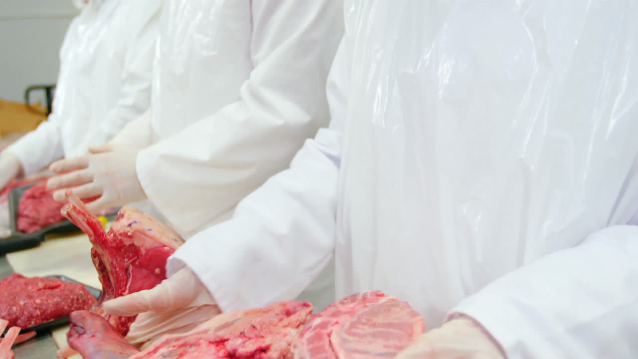 일하는 도살자 팀