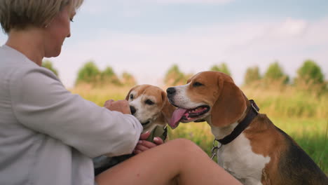 woman seated outdoors playfully interacting with her two dogs, holding her hand up to grab their attention, one dog eagerly raises its paw while the other watches intently, both dogs have leashes