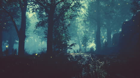 autumn forest scenery with rays of warm light