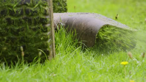 Aufsitzmäher-Schneidet-Grünes-Gras-Mit-Langsam-Drehenden-Radreifen,-Während-Das-Schnittgut-Auf-Das-Feld-Ausgeworfen-Wird,-Um-Es-Zu-Mulchen-Und-So-Eine-Bessere-Oberflächenqualität-Zu-Erzielen-4k