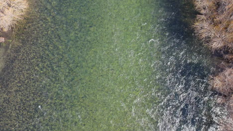 aerial view of crystal clear glacial stream in lanín national park in patagonia, argentina. environmental protection