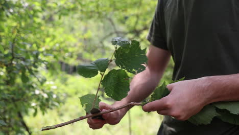 man using knife in forest 1