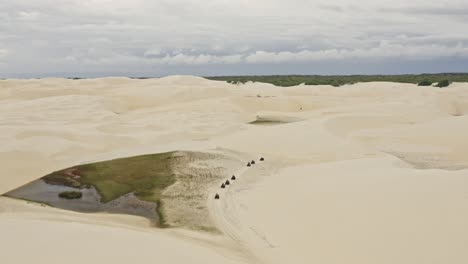 group in line riding atv vehicles through brazil sand dunes