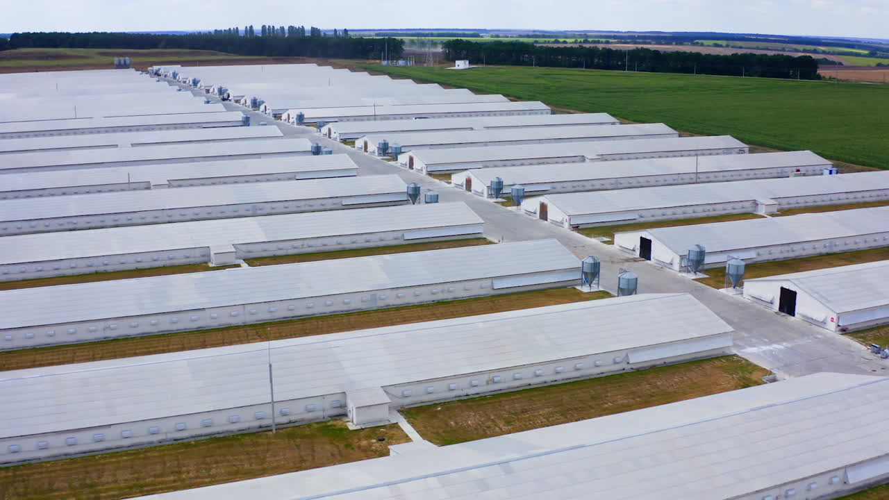 Modern farm surrounded by green nature. White agricultural buildings for livestock on field. Slow flight over white farm houses on a meadow.