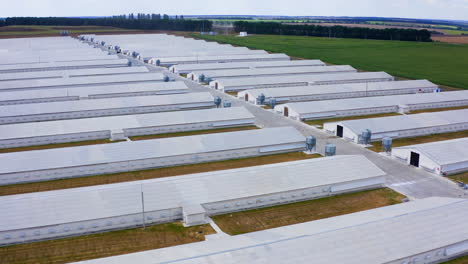 modern farm surrounded by green nature. white agricultural buildings for livestock on field. slow flight over white farm houses on a meadow.