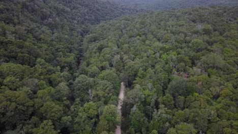 Drohnenaufnahmen-Einer-Kleinen-Unbefestigten-Straße-In-Einem-Wald,-Die-Wegführt