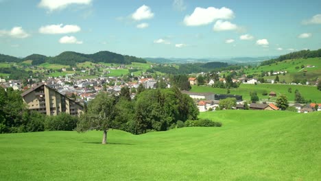 Schwinger-In-Switzerland-At-A-Traditional-Sports-Event