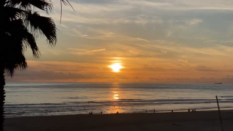 Ocean-Sunrise,-sunset-view-of-Palm-tree-and-tropical-island-beach,-seamless-loop-footage