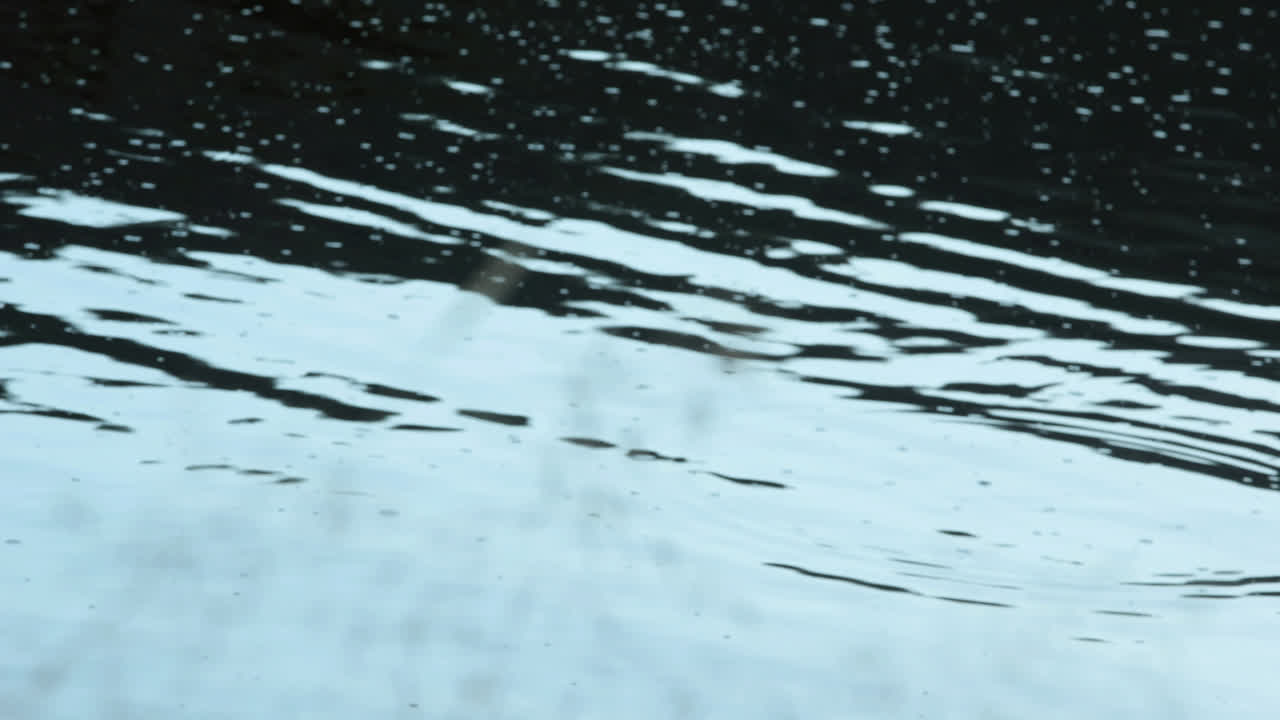 Nature scene in south africa