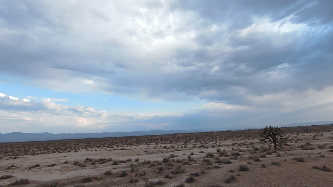 1인칭 시점에서 조슈아 트리 및 기타 지형이 있는 모하비 사막 유역을 통한 고속 비행