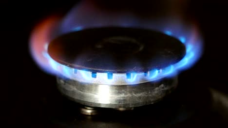 burning gas burner on the stove closeup