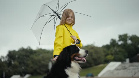 happy blonde girl in a yellow jacket petting her large black and white dog and holding an umbrella in her hands while walking in the park