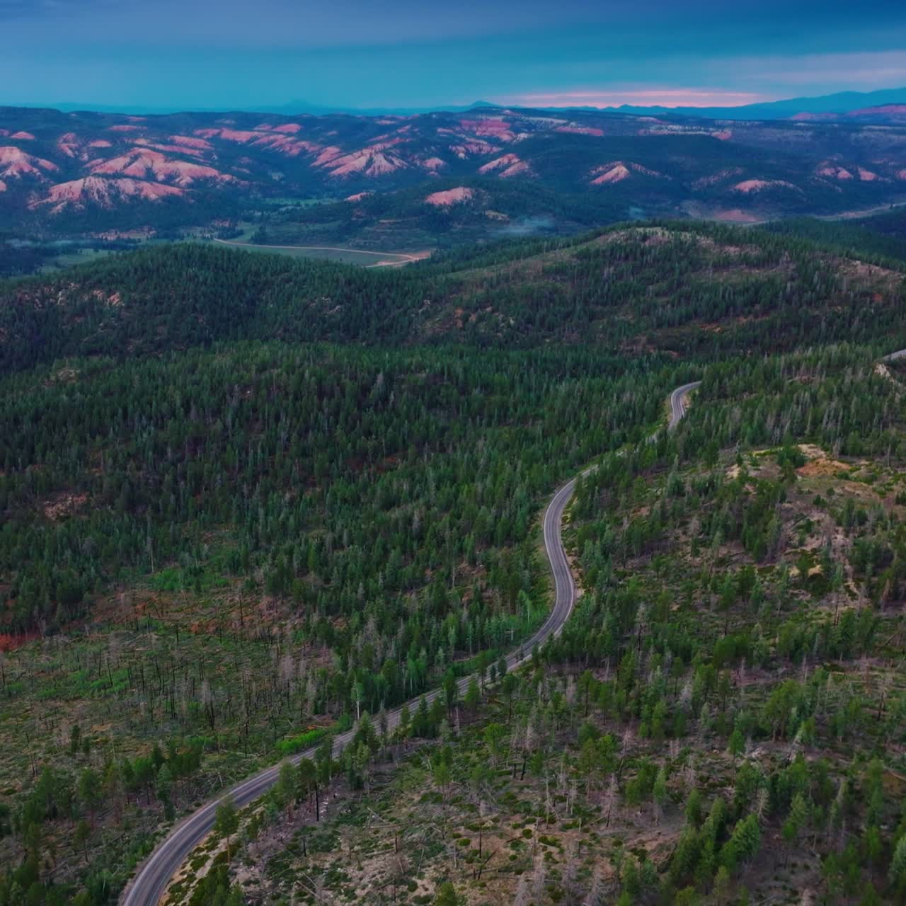 Wavy motorway passing the pine woods covering the mountains. Pleasing scenery of beautiful canyons of Utah, USA. Top view