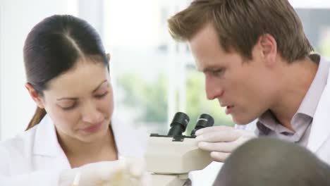 químico mirando a través de un microscopio