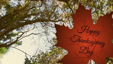 animation of happy thanksgiving day text over red autumn leaf in park