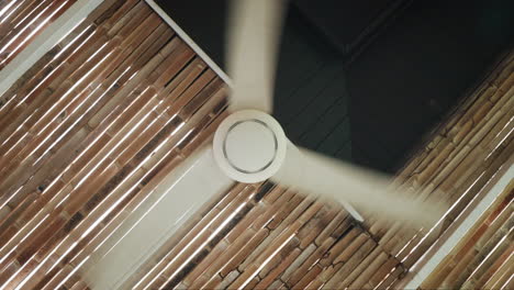 ceiling fan with bamboo ceiling