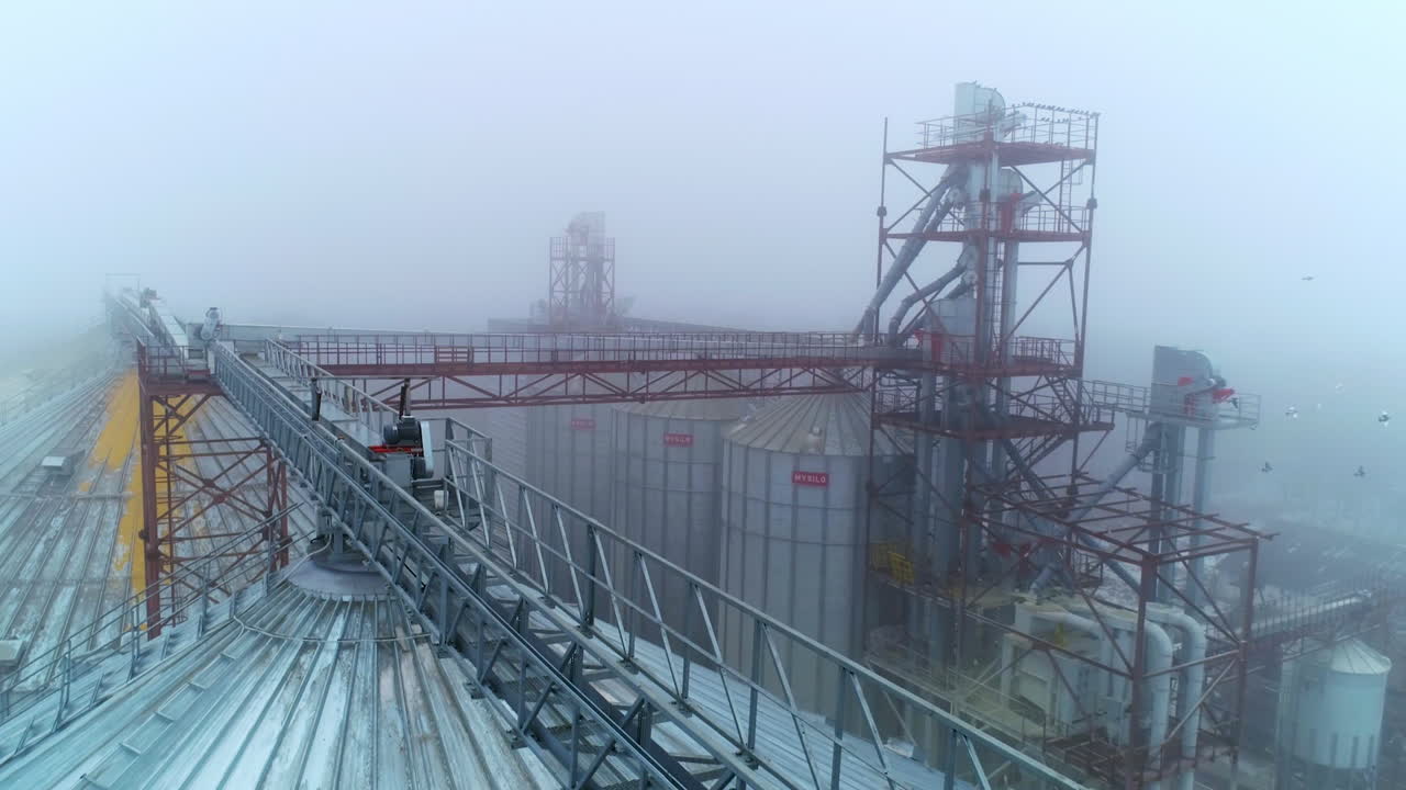 Tops of huge containers at elevator complex. Flocks of birds flying over the granary tanks on foggy cold day.