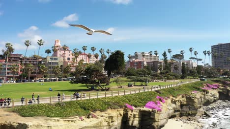 Park-at-La-Jolla,-California-from-a-low-flying-drone-with-seagull-birds-flying-through-the-frame