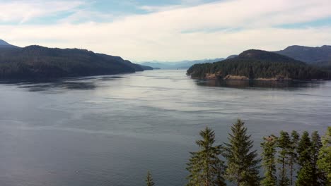 Boreal-Elevation:-A-Bird's-Eye-View-of-Campbell-River