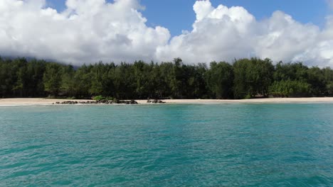 Stunning-views-of-Sherwood-Beach-Forest-in-Oahu,-Hawaii