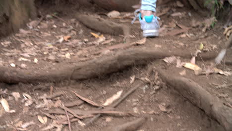 family walking uphill through forest, back view