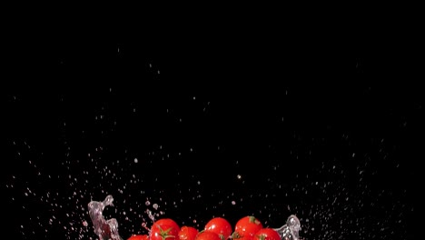 water splashing tomatoes