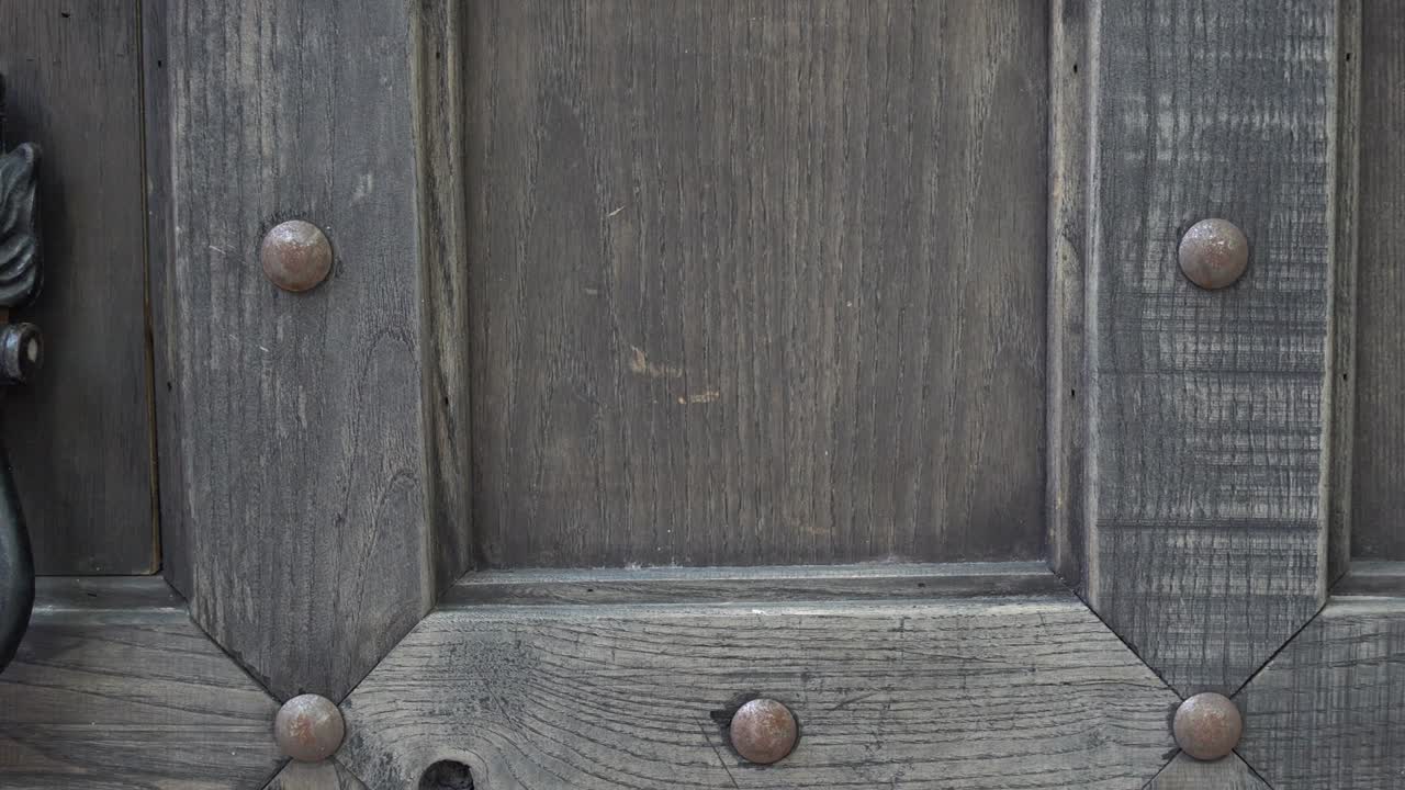 사자 머리 문 손잡이