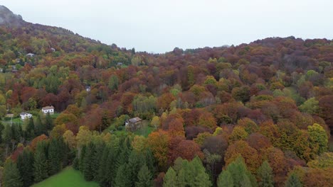 aerial view of autumn forest with houses