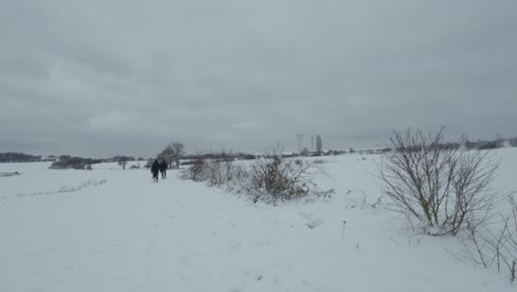 Eine-Gruppe-Von-Menschen-Geht-Durch-Die-Gefrorene,-Karge,-Verschneite-Landschaft-In-Die-Ferne