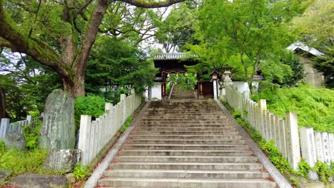 Die-Schöne-Aussicht-In-Ehime