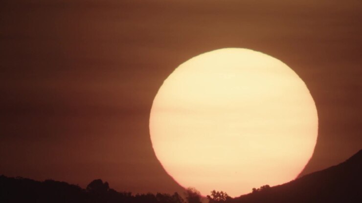 Sunrise over mountain with foreground tree
