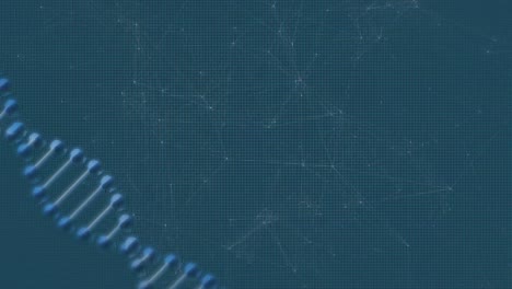 Animation-of-a--DNA-strand-rotating-with-network-of-connections-on-blue-background