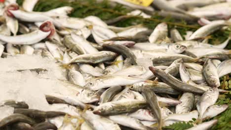 fresh fish on ice at a market stall