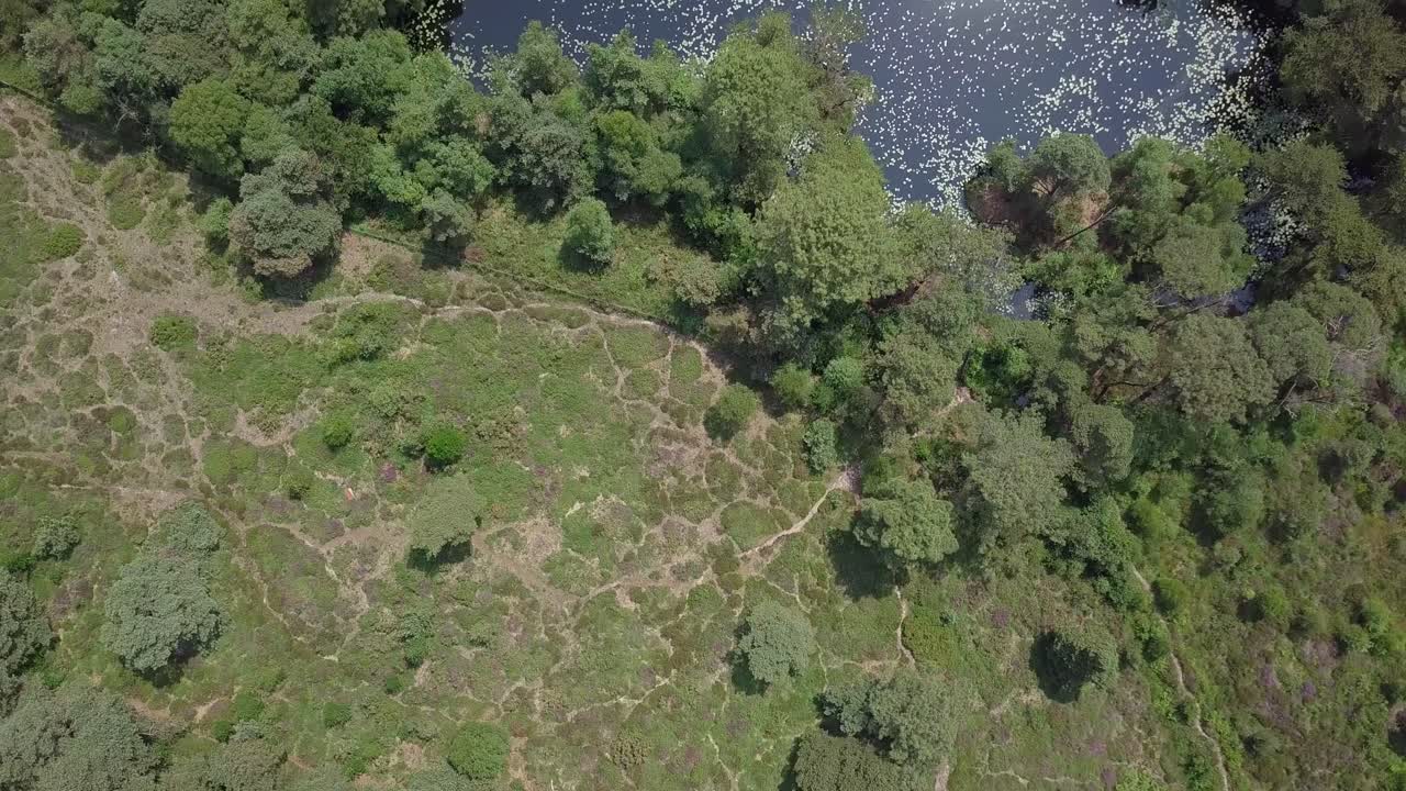 vista superior sobrevolar un estanque de bosque oculto en devon, reino unido