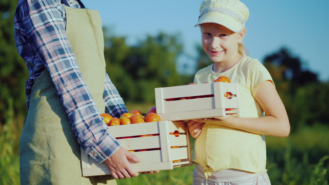 밭에서 토마토 한 상자를 들고 있는 딸과 함께 있는 여성 농부 4k 비디오