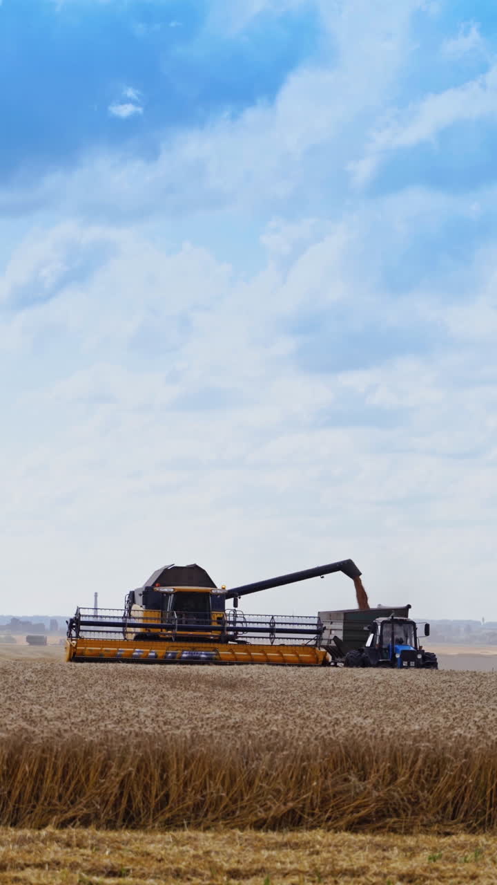 Panoramic view of the field with agricultural machinery. Harvesting ripe wheat. Combine harvester is unloading grains into tractor trailer. Vertical video