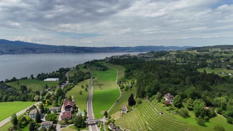 Stäfa-Con-Exuberantes-Campos-Verdes,-Casas-Y-Un-Hermoso-Lago-Al-Fondo,-Vista-Aérea