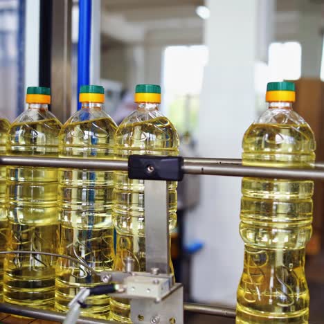 bottle with sunflower oil on the conveyor